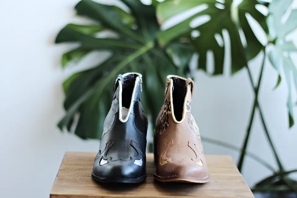 TENNESSE CAIMÁN NEGRO 2