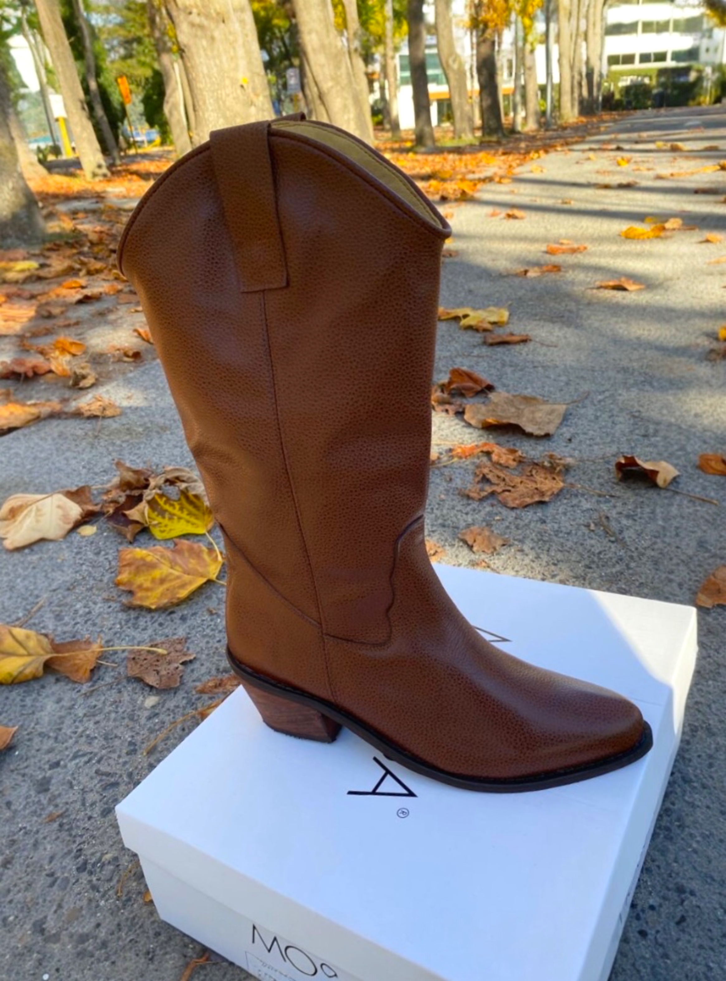 Urban Dallas Brandy 2
