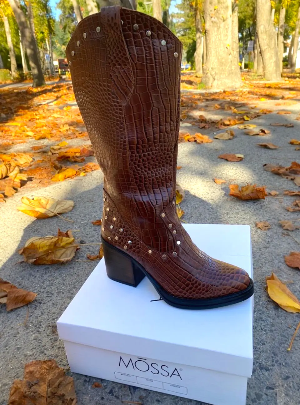 BORDEAUX CAIMAN MARRON 4