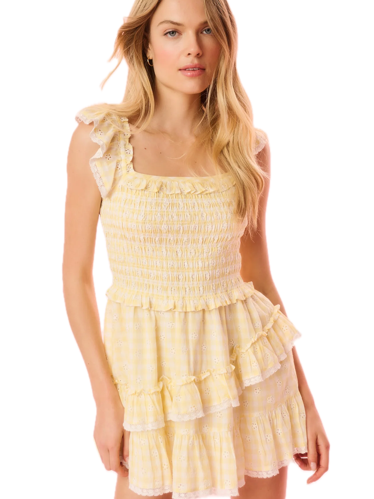 Aline Gingham Eyelet Mini Dress 1