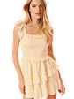 Aline Gingham Eyelet Mini Dress - thumbnail 1