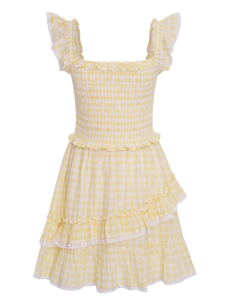 Aline Gingham Eyelet Mini Dress 5