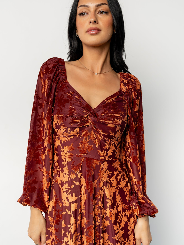 Aurora Velvet Maxi Dress | Clove + Copper Floral 2