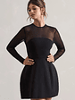 Austen | Black Mesh Long-Sleeve Mini Dress - thumbnail 1