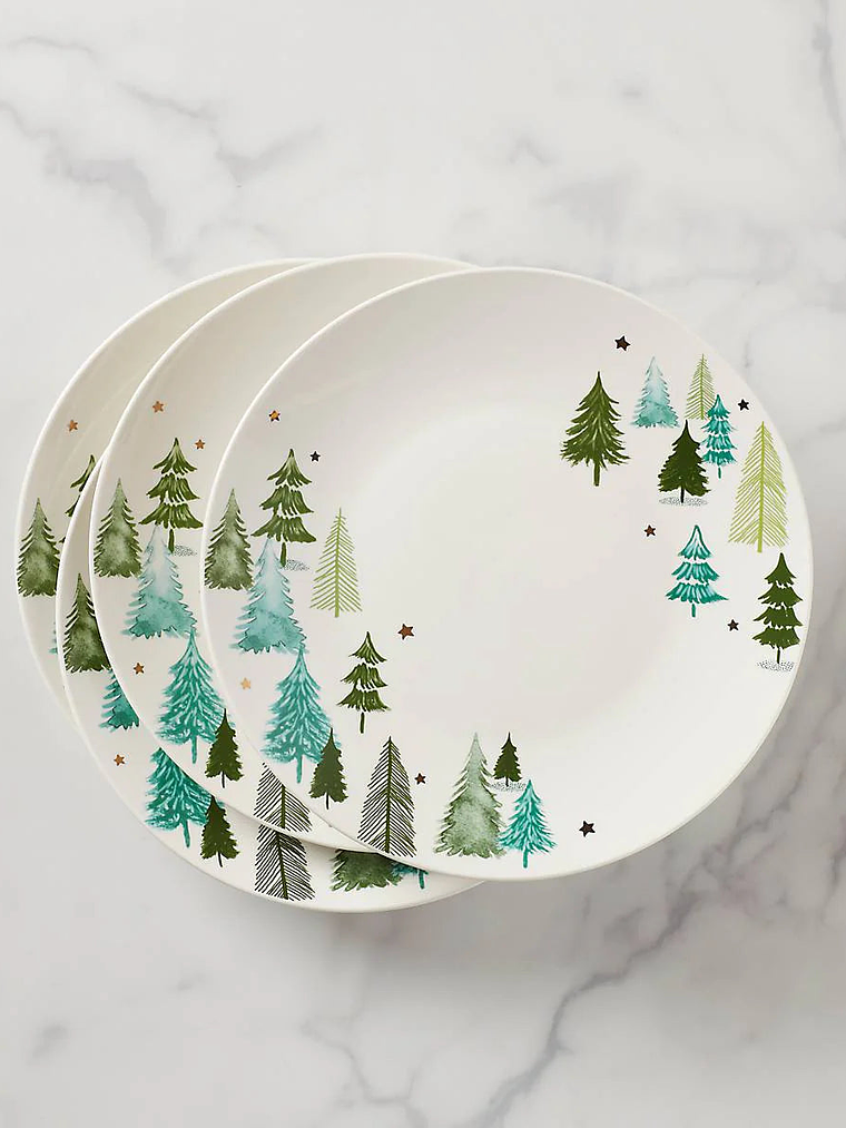 Balsam Lane 4-Piece Dinner Plate Set 5
