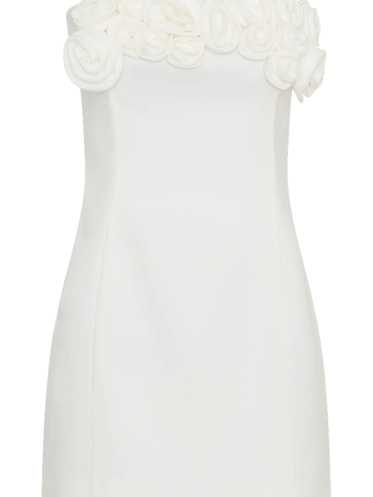 Brooks Rose Mini Dress - White 5