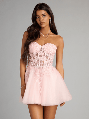 Carla Corset Tulle A-Line Mini Dress