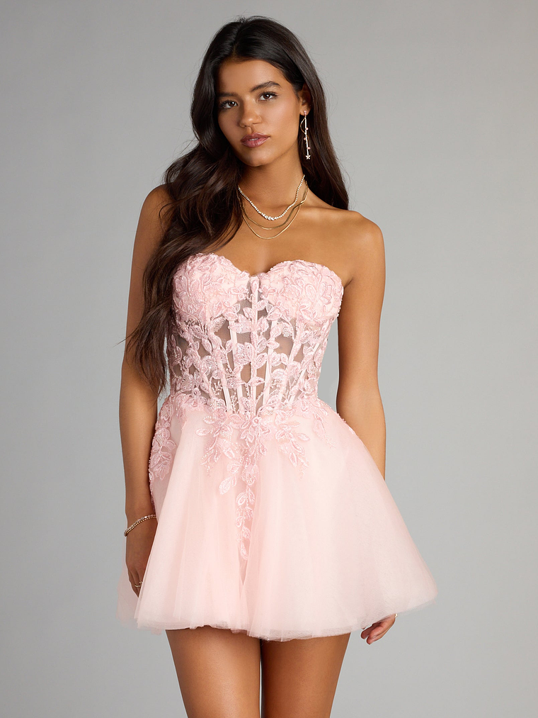 Carla Corset Tulle A-Line Mini Dress 1