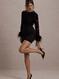 Charli | Black Mesh Long-Sleeve Feather-Trim Mini Dress - thumbnail 4