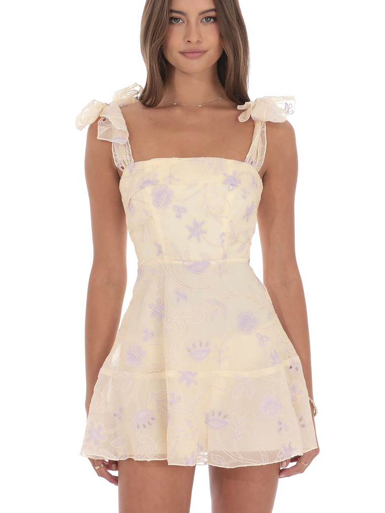 Embroidered Floral A-line Dress in Cream 1