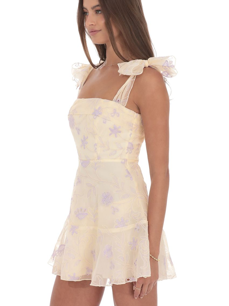 Embroidered Floral A-line Dress in Cream 3