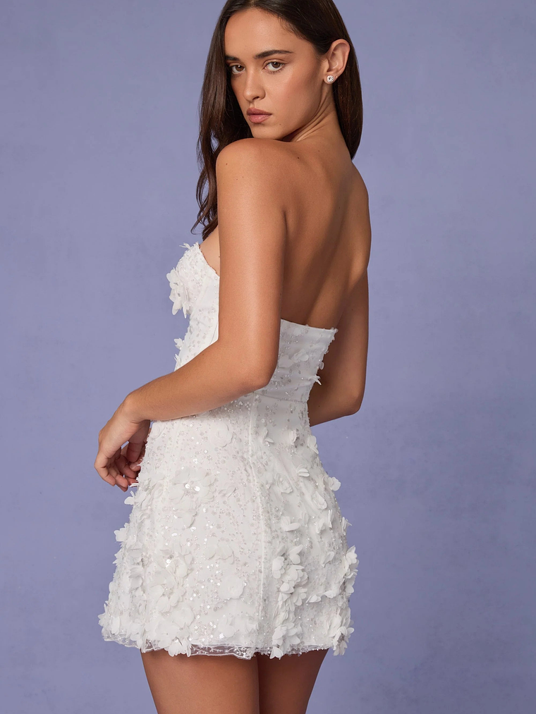 Embellished Bandeau A-line Mini Dress in White 2