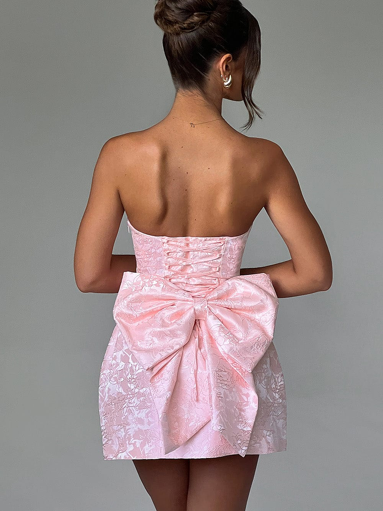 Elenora Mini Dress - BLUSH/IVORY 6