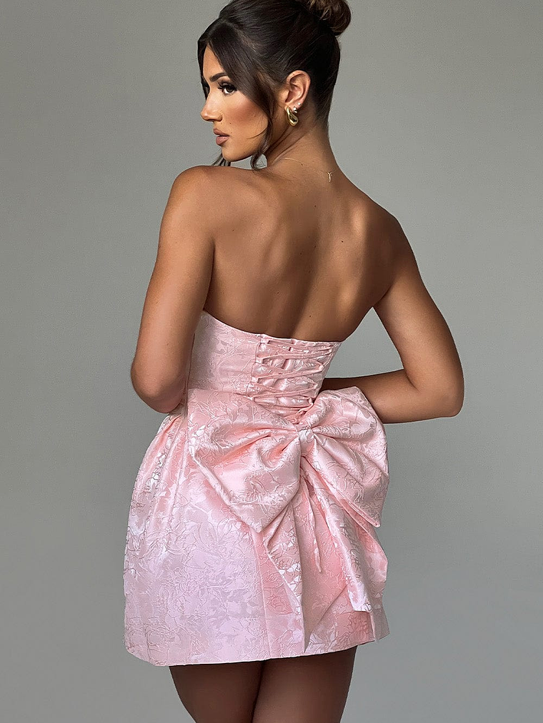 Elenora Mini Dress - BLUSH/IVORY 18