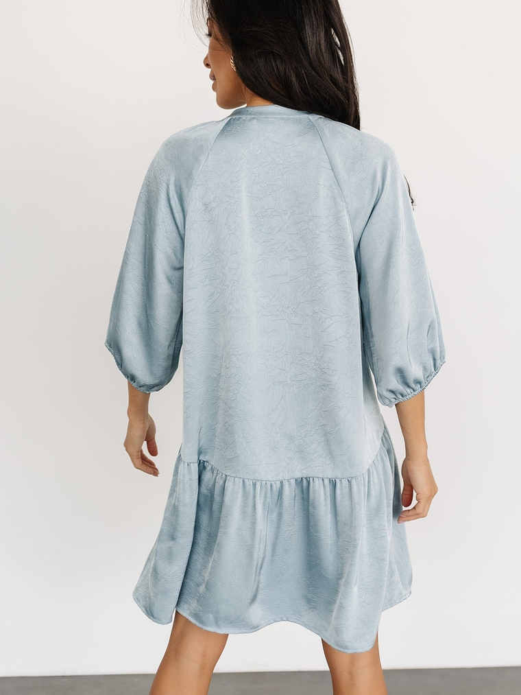 Janice Button Dress | Blue 6