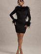 Heiress | Black Long-Sleeve Low Back Mini Dress With Feather Trim - thumbnail 1