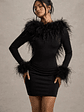 Heiress | Black Long-Sleeve Low Back Mini Dress With Feather Trim - thumbnail 3