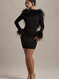 Heiress | Black Long-Sleeve Low Back Mini Dress With Feather Trim - thumbnail 5