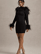 Heiress | Black Long-Sleeve Low Back Mini Dress With Feather Trim - thumbnail 6