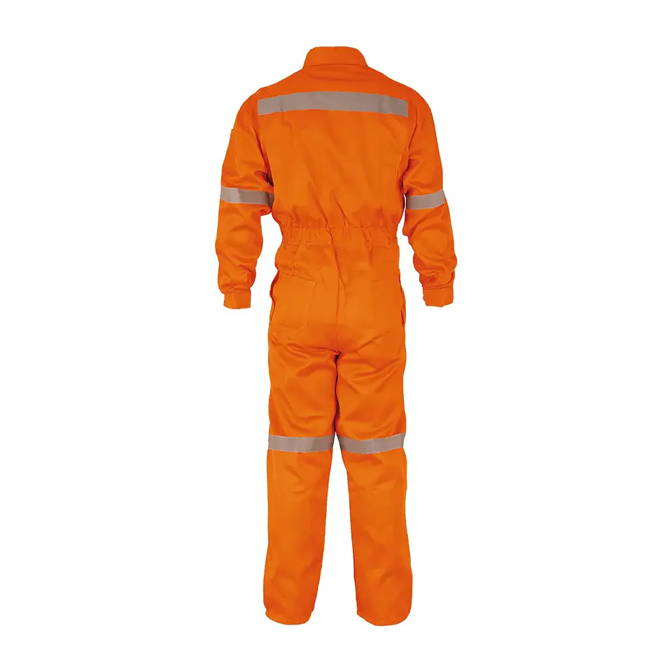 Overol Canvas (Similar Gabardina) 2