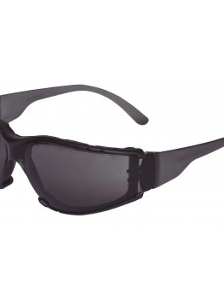 Lente Daumer L600 PRO CLARO-PRO GRIS-PRO IN AUT 2