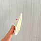 Pétalo Facial Luffa - Miniatura 4