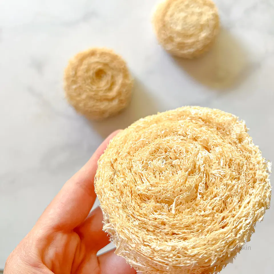 Virutilla de luffa 2
