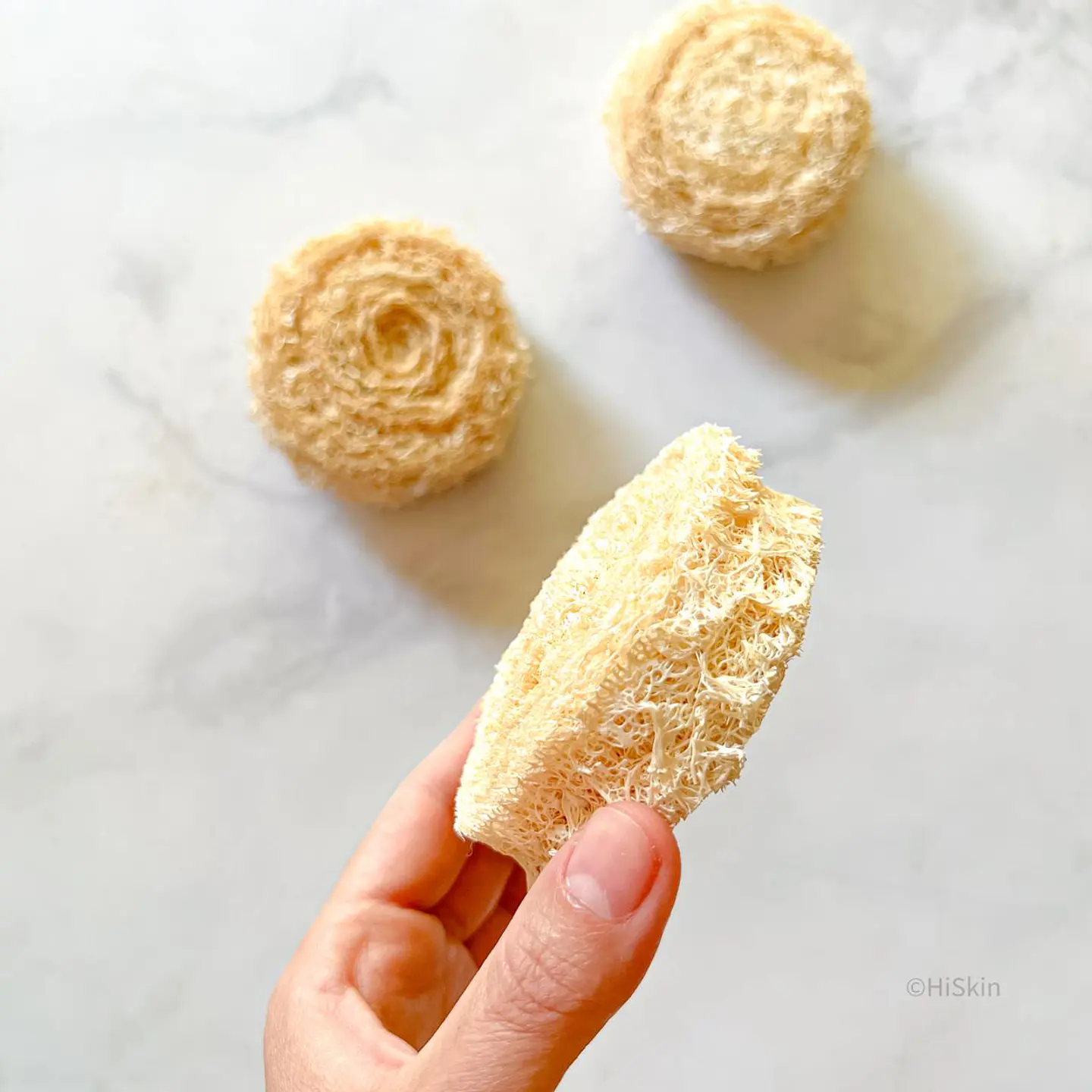 Virutilla de luffa 3