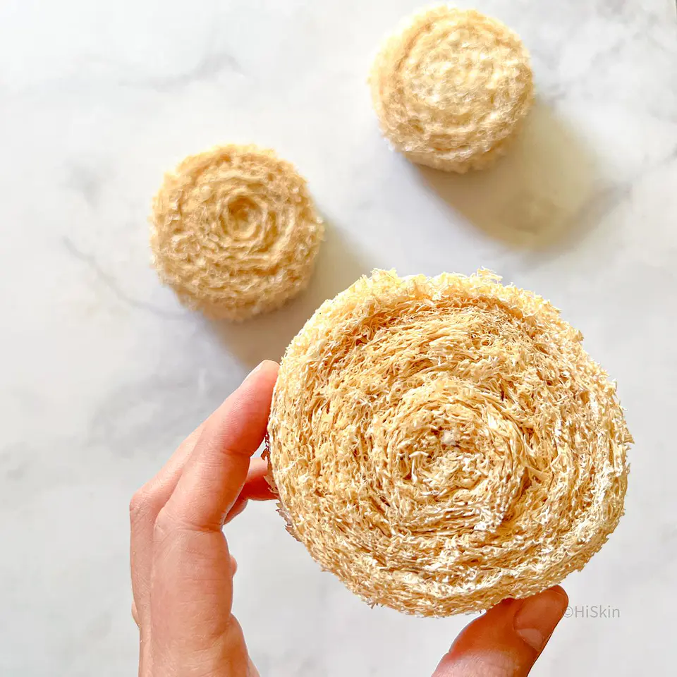 Virutilla de luffa 1