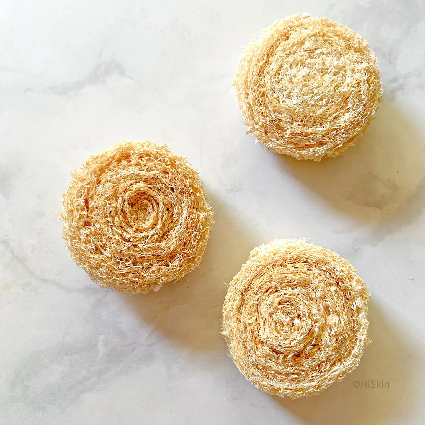 Virutilla de luffa 4