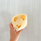 Luffa 20 cms - Miniatura 2