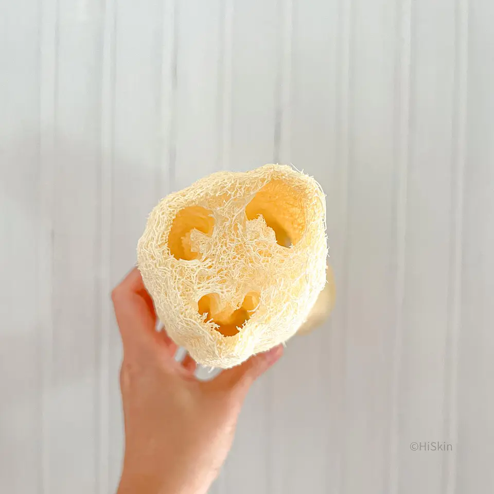 Luffa 20 cms 2