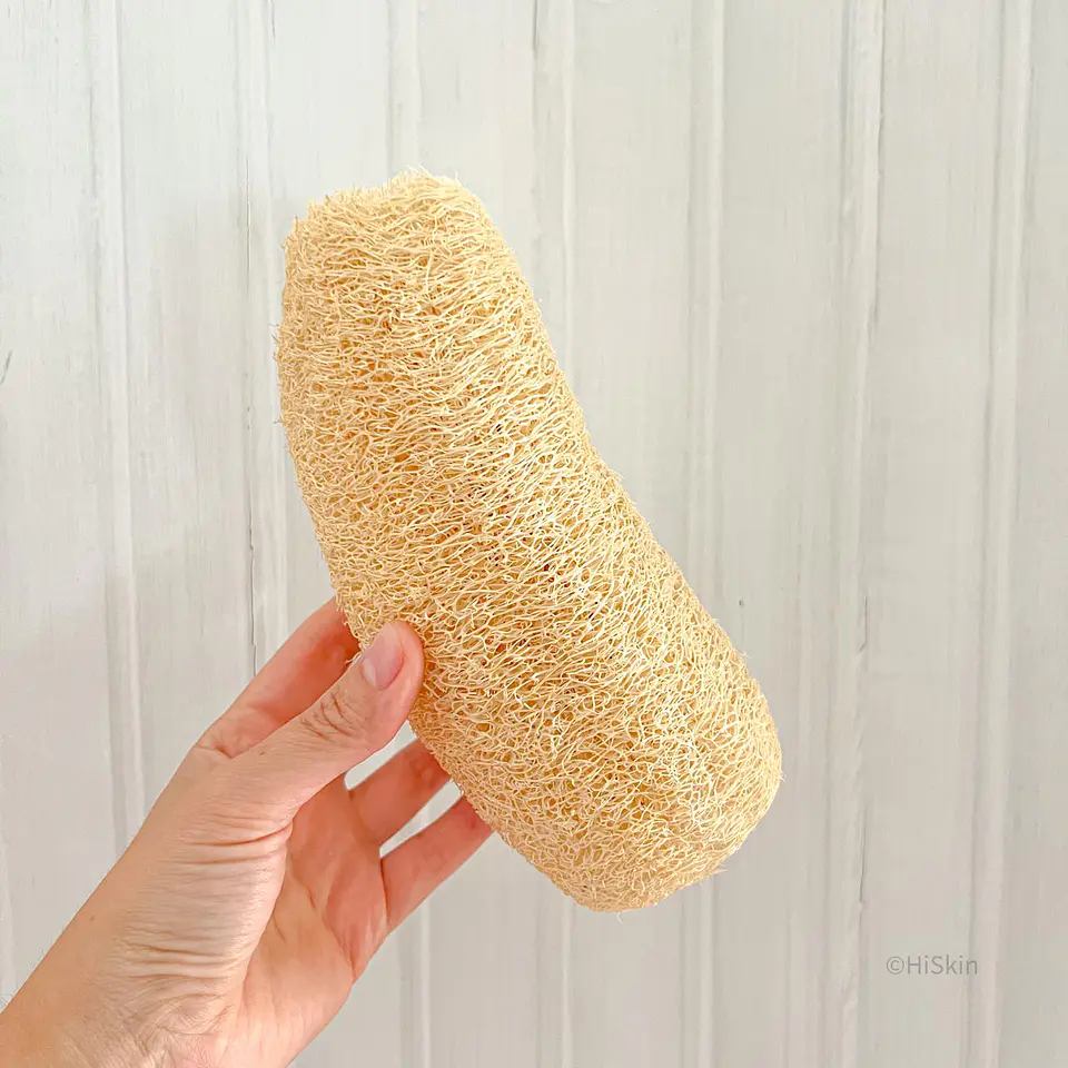 Luffa 20 cms 1