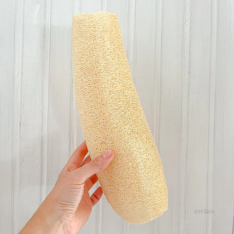 Luffa 30 cms