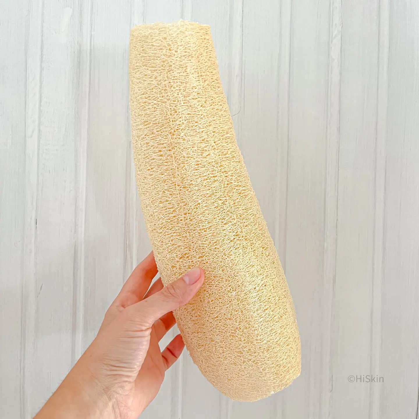 Luffa 30 cms 1