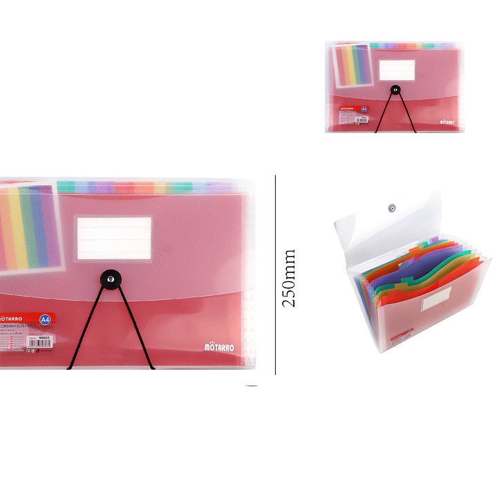 Carpeta Acordeón Multicolor 25 cm 1