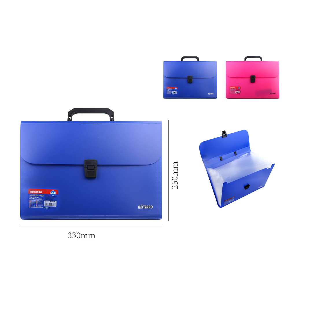 Portafolio Acordeon 1