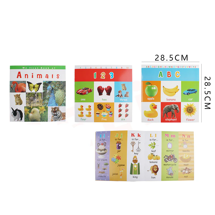 Libro Educativo con Imágenes Reales 1