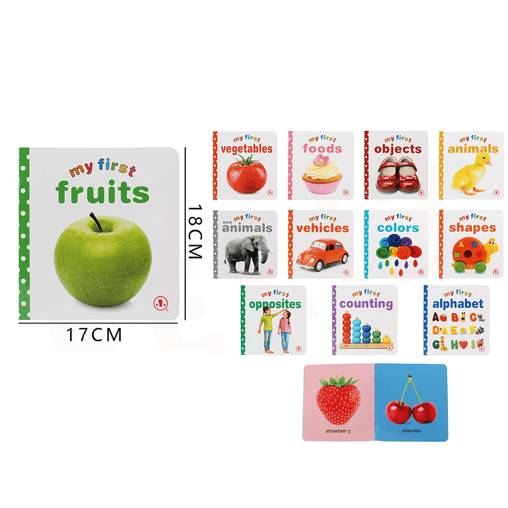 Libro Educativo My First 18x17cm 1