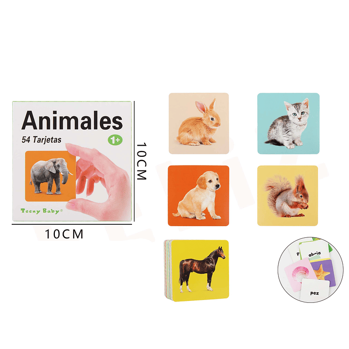 Libro Educativo Animales 10x10cm 1