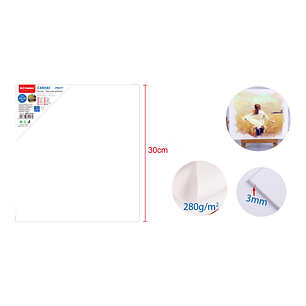 Lienzo 2430Cm 280G 3Mm