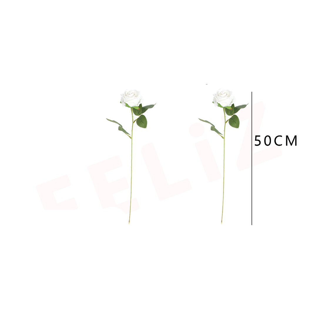 Rosa Blanca 50 cm 1