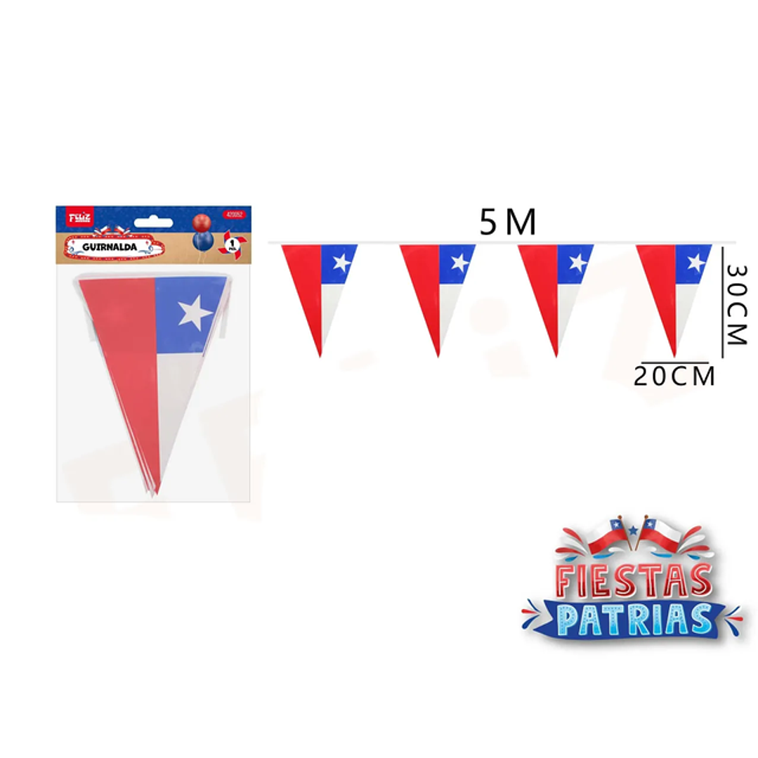 Guirnalda Bandera Triangulo 5M 1