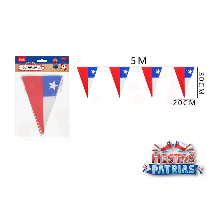 Guirnalda Bandera Triangulo 5M 1