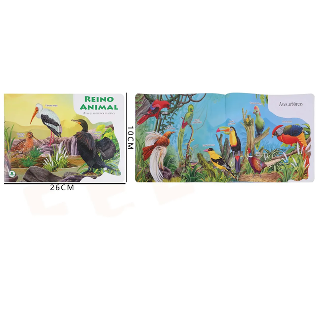 Libro educativo Reino Animal, Aves 26x10cm 1