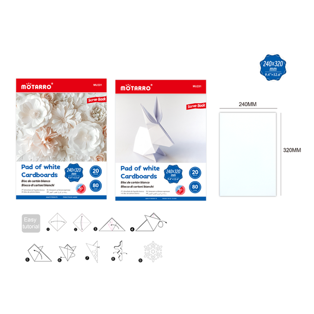 Block De Carton Blanco 2432Cm 1