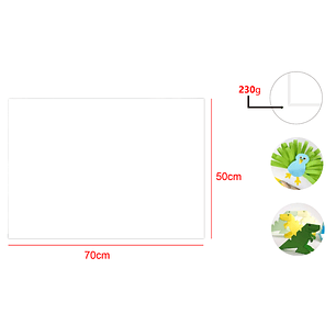 Cartulina Blanco 25pcs 50x70cm