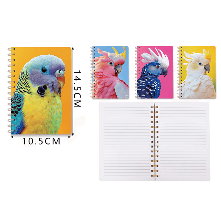 Libreta Aventuras de Loro – 14.5×10.5 cm, 80 Hojas 1