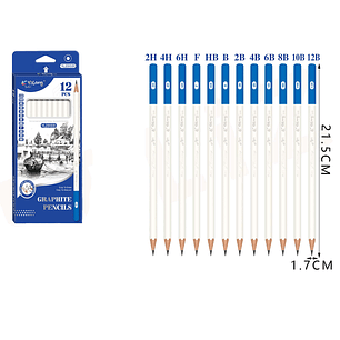 Set de Lápices Grafito variantes 12pcs