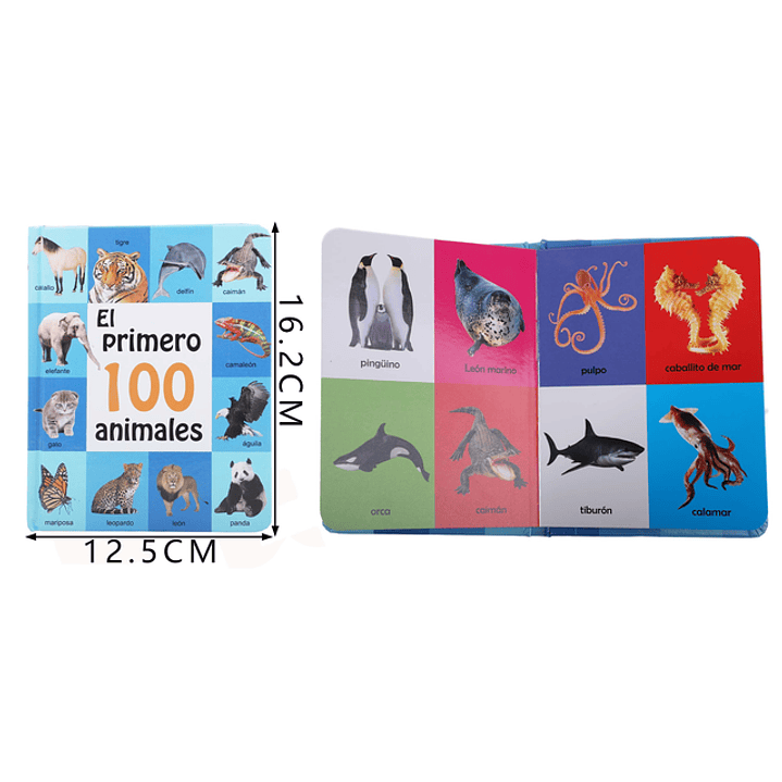 Libro de Tarjeta 100Animales 1